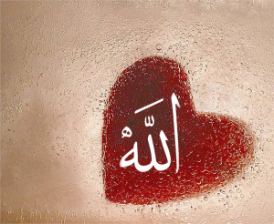 Allah Sevgisi ve “Merhamet” ile Muamele Etmek